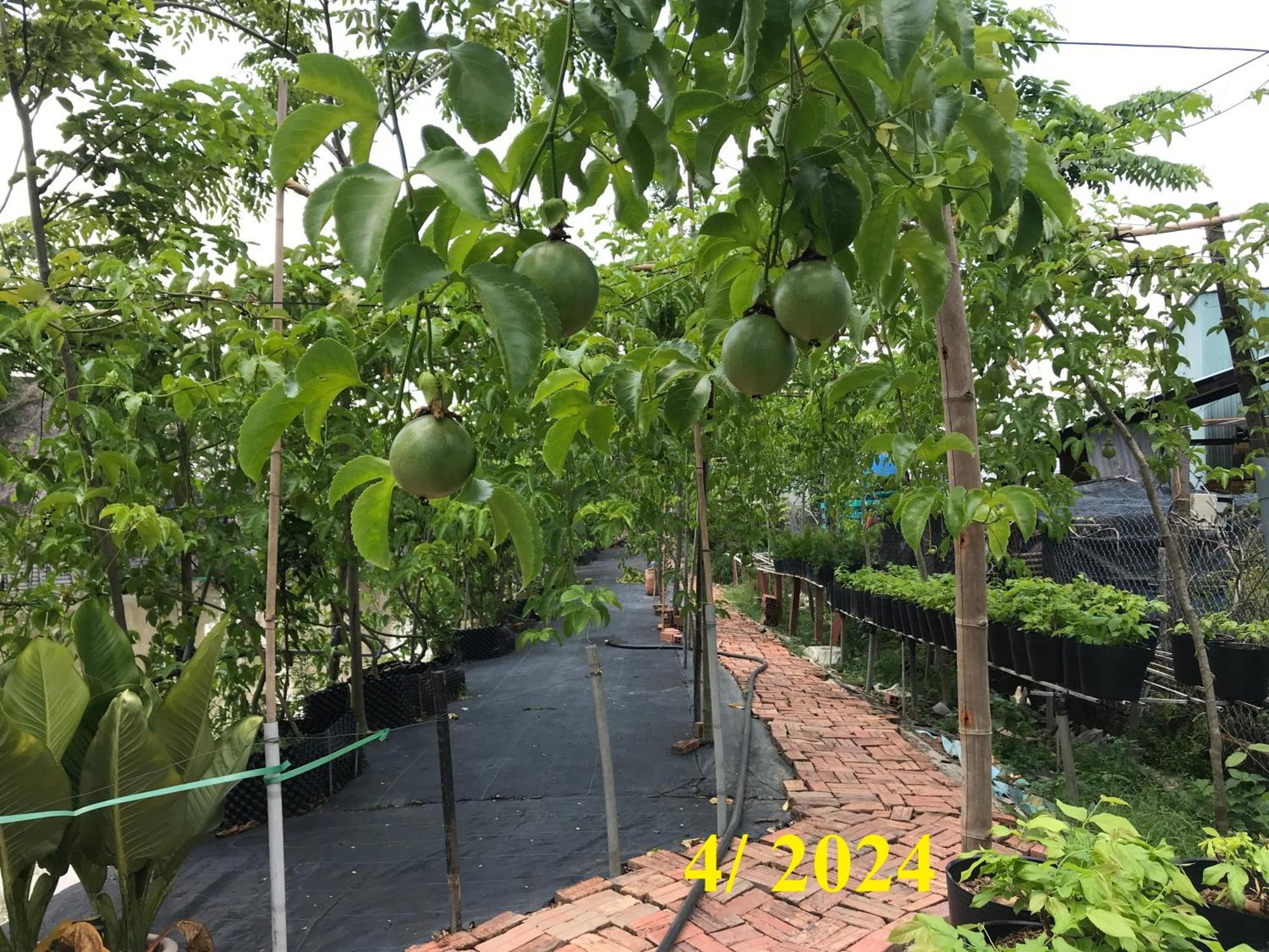Maison En Bambou Phong-Le Vent Sa Dec Exteriér fotografie